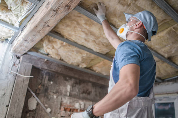 Best Attic Insulation Installation  in Sunset, LA