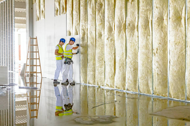 Best Insulation Contractors for Homes  in Sunset, LA